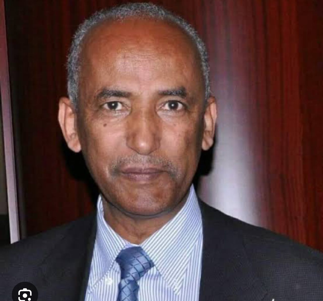 Professor Mesfin Araya