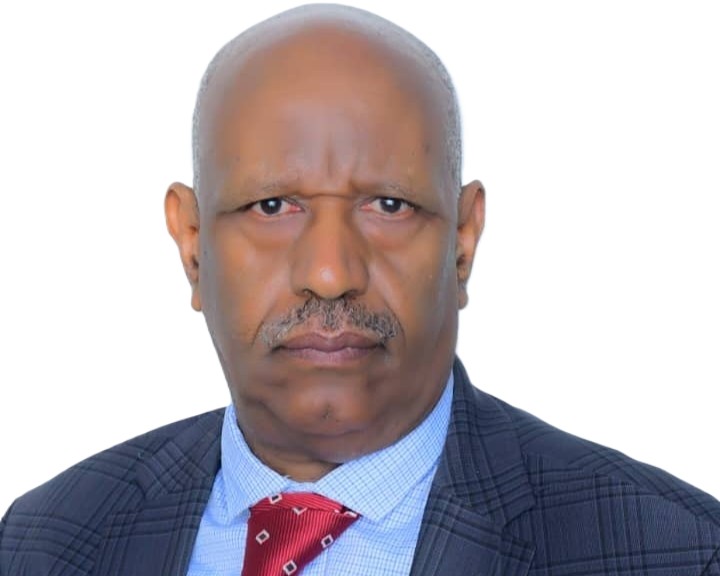 Professor Assefa Abegaz